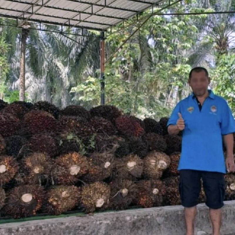 3. Kesejahteraan Petani